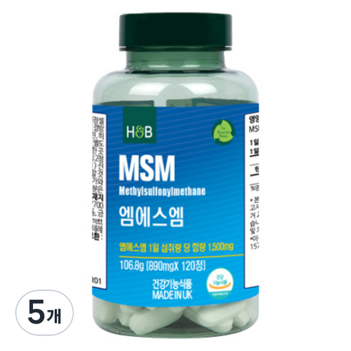 홀랜드앤바렛 엠에스엠 106.8g, 5개, 120정