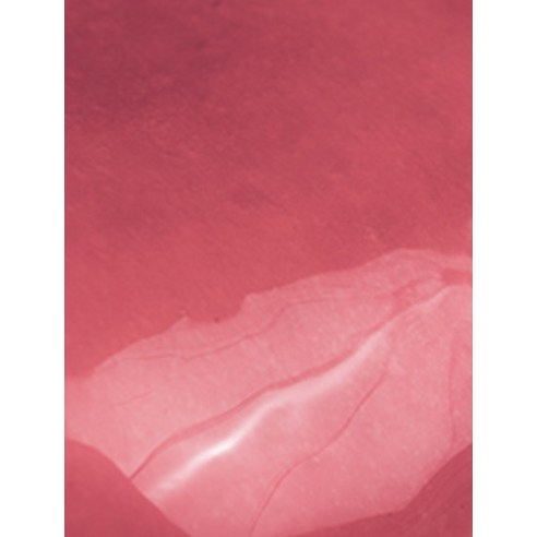 과즙미를 입술에! 롬앤 더 쥬시 래스팅 틴트