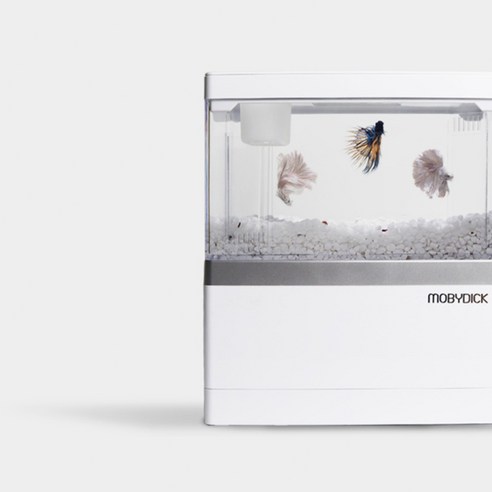 작은 행복을 담는 나만의 공간, 모비딕 모모탱크 미니어항으로 시작하세요.