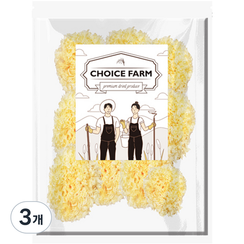 초이스팜 백목이버섯, 500g, 3개