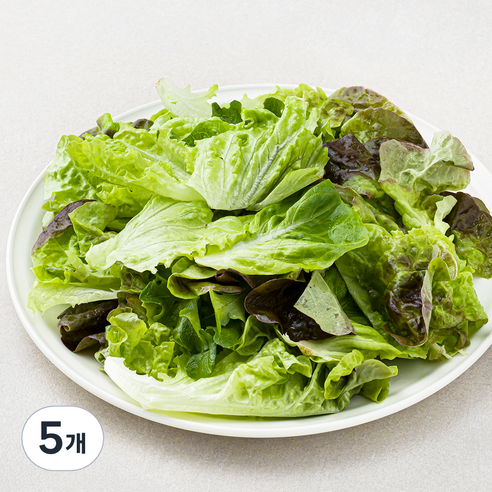팜에이트 무농약 인증 유러피안 샐러드, 130g, 5개
