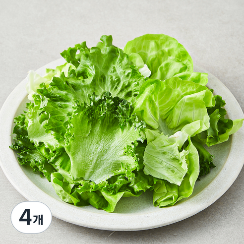 친환경 유러피안 모둠 샐러드용 채소, 4개, 1개입