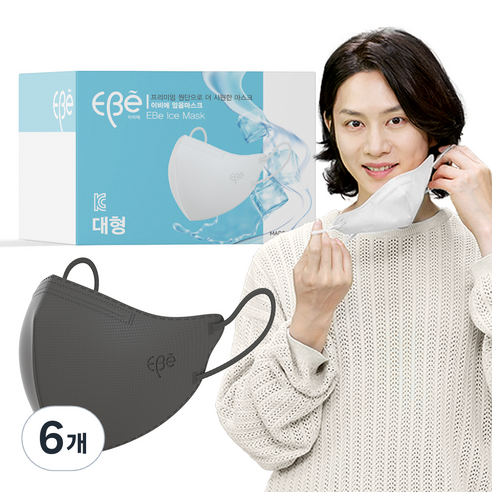 이비에 여름용 새부리형 컬러 마스크 대형, 30매, 6개, 그레이