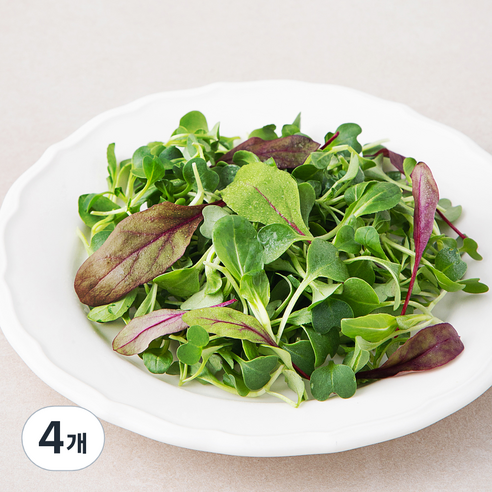 친환경 어린잎 채소, 40g, 4개
