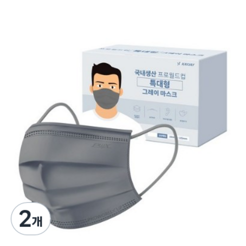 프로월드컵 특대형 마스크, 100매입, 2개, 그레이