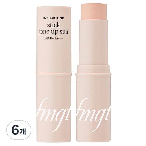 더페이스샵 fmgt 잉크래스팅 톤업 선스틱 SPA50+ PA++++, 10g, 6개