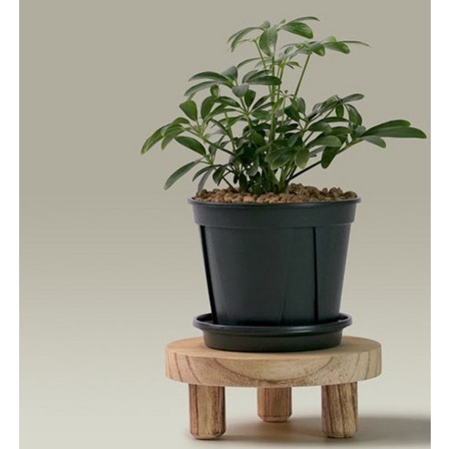 morningscent 원형 스툴 화분 받침대로 공간에 생기를 불어넣으세요.