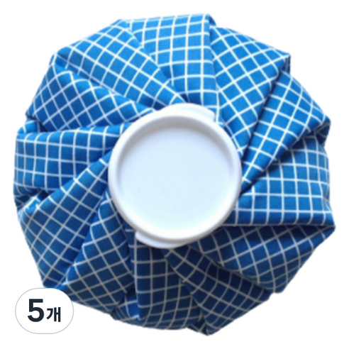 스타리움 냉온 찜질 얼음주머니 찜질팩 블루 중, 5개