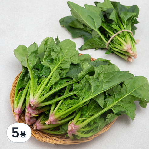 곰곰 농협 보물초 남해 시금치, 250g, 5봉