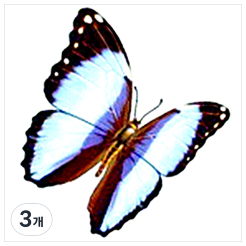 파티복닷컴 나비 웬디 타투 스티커, AC86, 3개