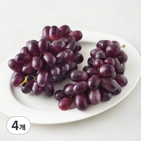 칠레 적포도, 900g, 4개