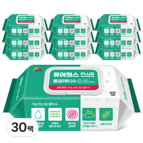 퓨어원스 플러스 거실용 청소 물티슈 캡형 80p, 30개, 545g