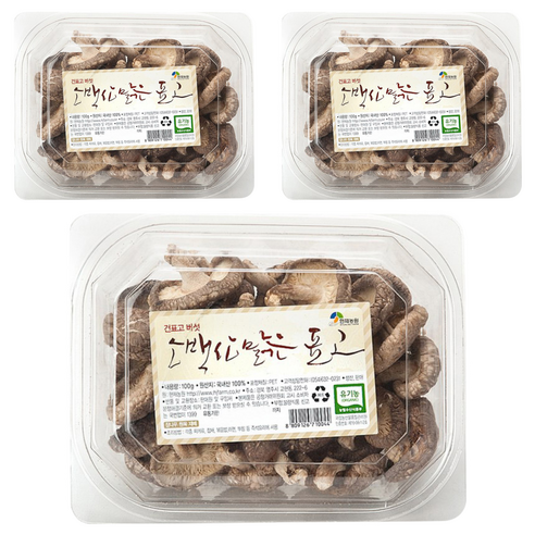 현재농원 소백산 맑은 건표고 버섯, 100g, 3개