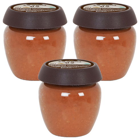 더해담 순창 상황버섯 된장, 500g, 3개