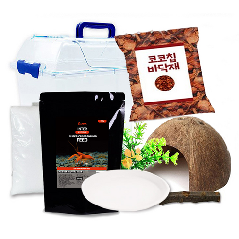 로라펫 소라게 키우기 세트, 혼합색상, 1개