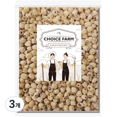 초이스팜 껍질깐 연자육, 500g, 3개