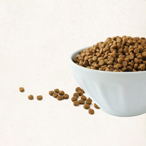 강아지의 건강한 관절을 위한 최상의 선택