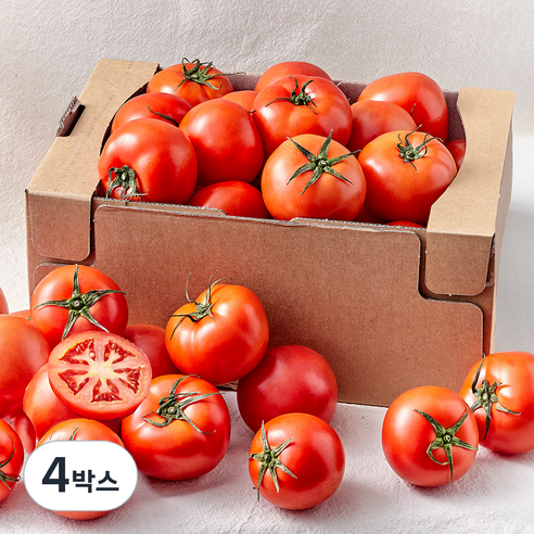 완숙 토마토, 5kg, 4박스