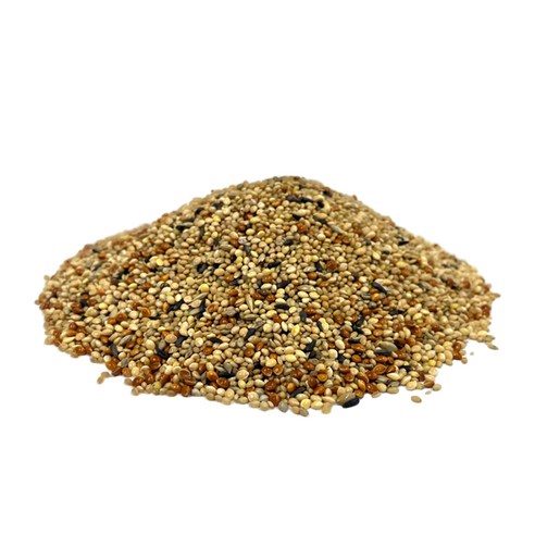 우리 집 삐약이, 건강하고 맛있게! 구딘 프리미엄 사료로 밥 걱정 끝!