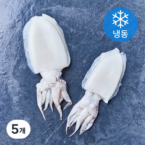 손질통 갑오징어 2미 (냉동), 5개, 200g