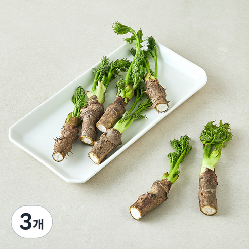 참두릅, 3개, 150g