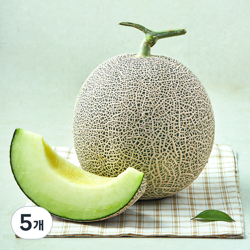 가온누리 머스크 멜론, 5개, 2kg