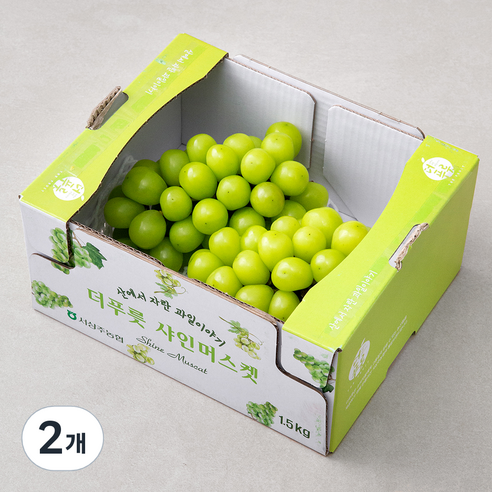 데일리 경북 상주 샤인머스켓, 1.5kg, 2개