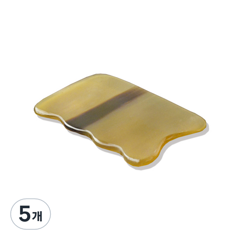 사각 괄사 마사지 물소뿔 백각, 5개