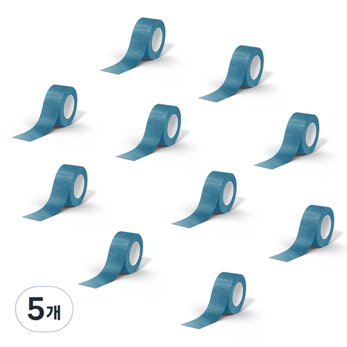 데이바이데이 바른생활이야기 밴드 2.5cm x 4.5m 블루, 5개, 10개입