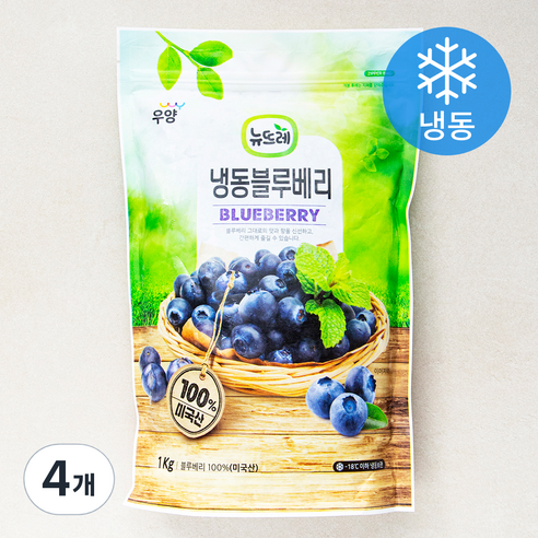 뉴뜨레 냉동 블루베리 (냉동), 1kg, 4개