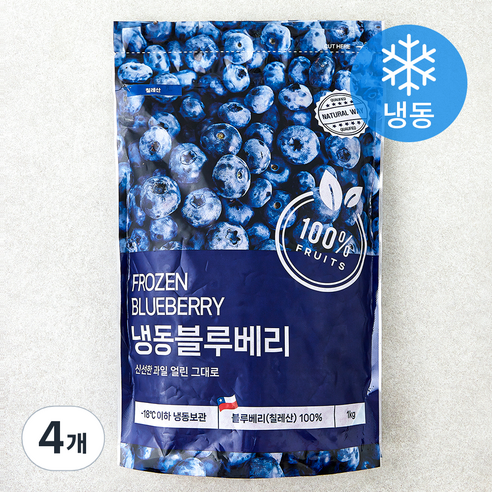 네츄럴웨이 칠레산 블루베리 (냉동), 4개, 1kg