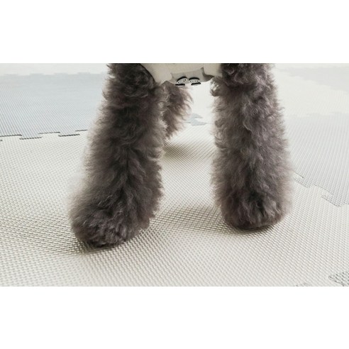 댕냥이 슬개골 걱정 없이 신나게! 딩동펫 퍼즐매트로 층간소음과 안전까지 한 번에 잡으세요.