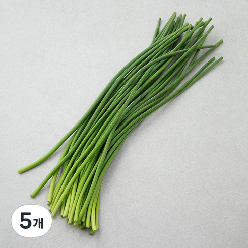 중국산 신선마늘쫑, 400g, 5개