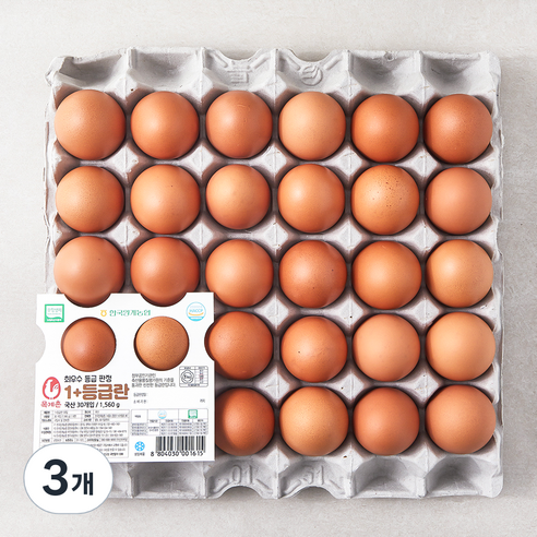 목계촌 1+ 등급 계란 1560g, 30구, 3개