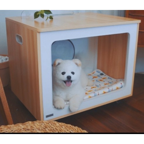 반려동물의 건강과 편안함을 위한 필수 아이템