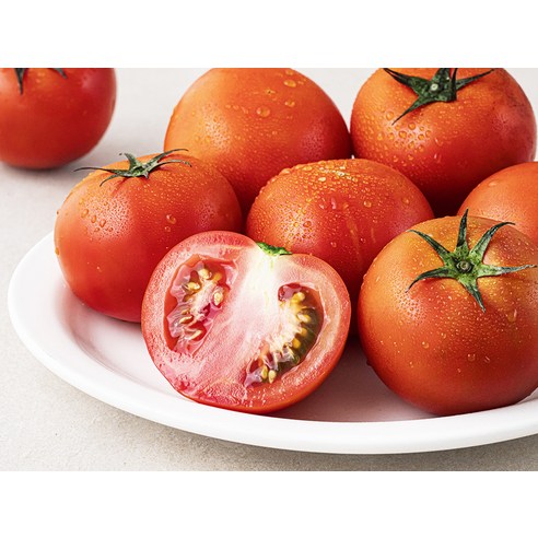 신선하고 맛있는 토마토의 정수