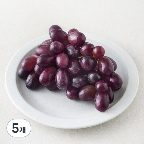 칠레 적포도, 5개, 450g
