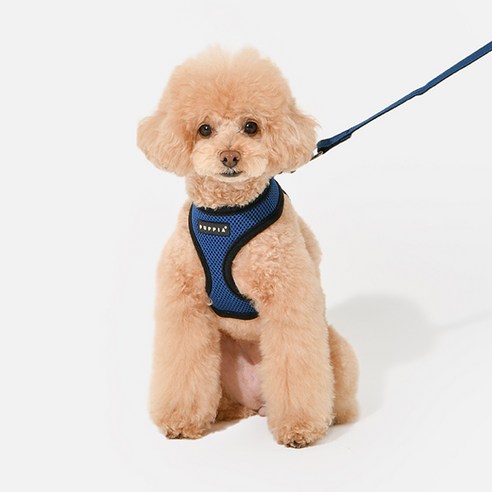 퍼피아 강아지 소프트 하네스 A, 로얄 블루, XS(목둘레 21cm, 가슴둘레 24~33cm), 1개