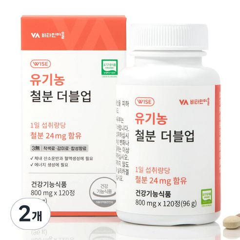 비타민마을 철분 더블업 미니 정제형 철분제, 120정, 96g, 2개