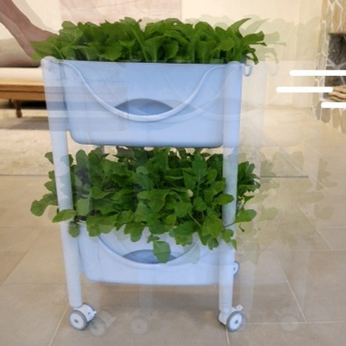 圓形花盆 底灌花盆 花盆 清潔花盆 菜園花盆 陽台花盆 塑膠花盆 自澆水花盆 單株花盆 堅固花盆