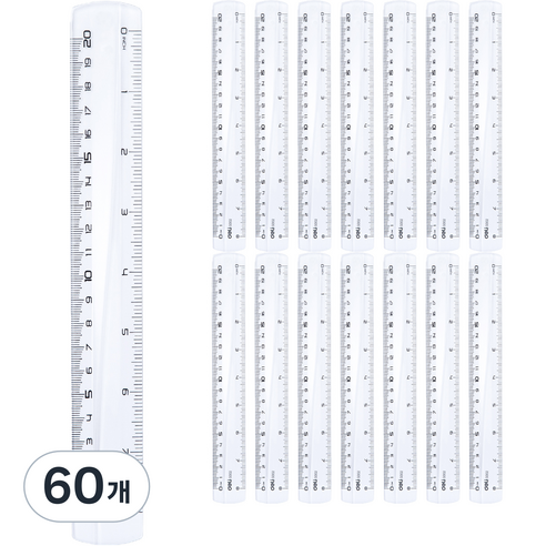 델리 잡기 쉬운 자 20cm, 투명, 60개