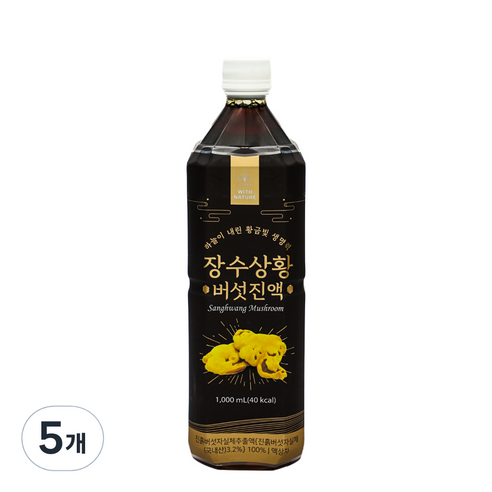 위드네이쳐 장수 상황버섯 진액, 1L, 1개입, 5개