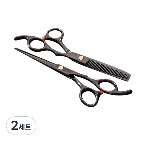 보냄 전문가용 미용 컷팅가위 + 턴닝 숱가위, 2세트
