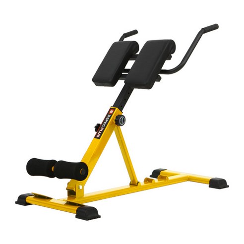 폼롤러, 스트레칭만으론 부족하다면? 속 시원한 등/허리 운동, 반석스포츠 로만체어 플러스 솔직 후기 백익스텐션머신