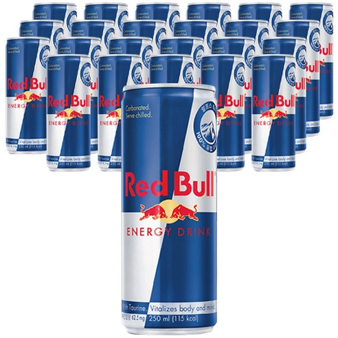 레드불 에너지 드링크, 250ml, 24개