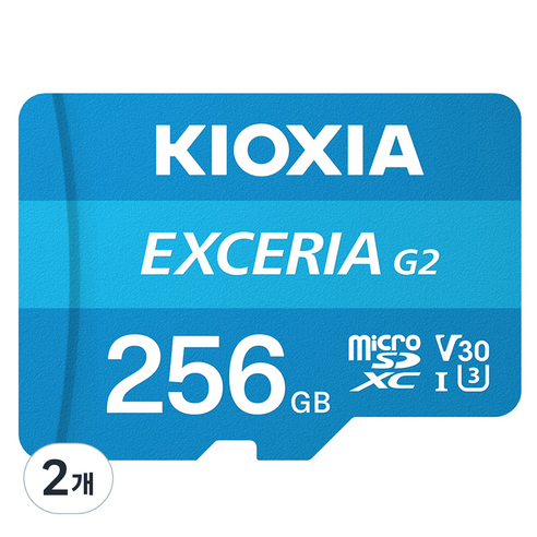 키오시아 EXCERIA 마이크로 메모리 카드 홈캠 블랙박스 CCTV SD LMEX2L256GG4, 256GB, 2개