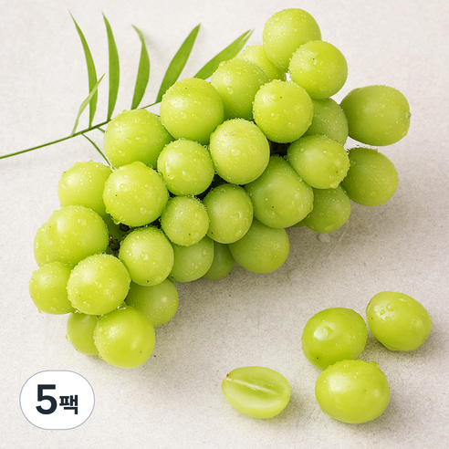 샤인머스캣, 500g, 5팩