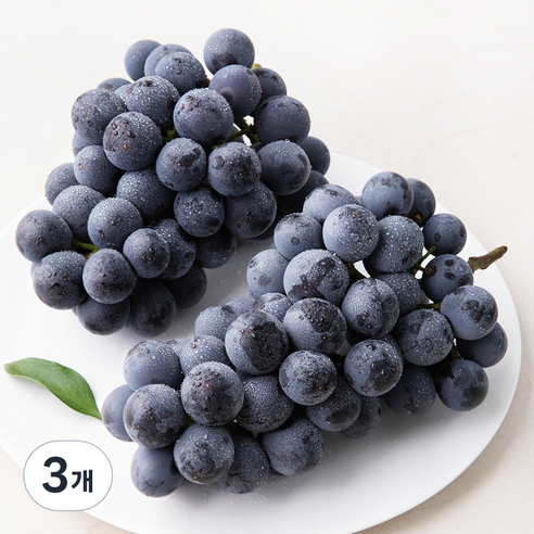 산지직송 아주마 영동 상주산 하우스 거봉포도(2수), 900g, 1개