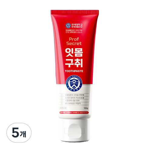 연세생활건강 프로프 시크릿 잇몸구취 치약, 100g, 5개