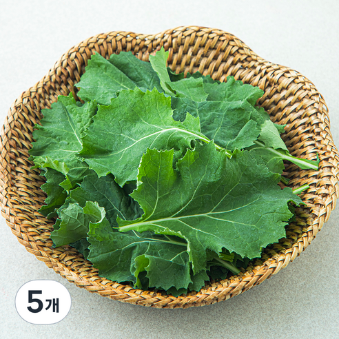 국내산 친환경 베이비케일, 50g, 5개